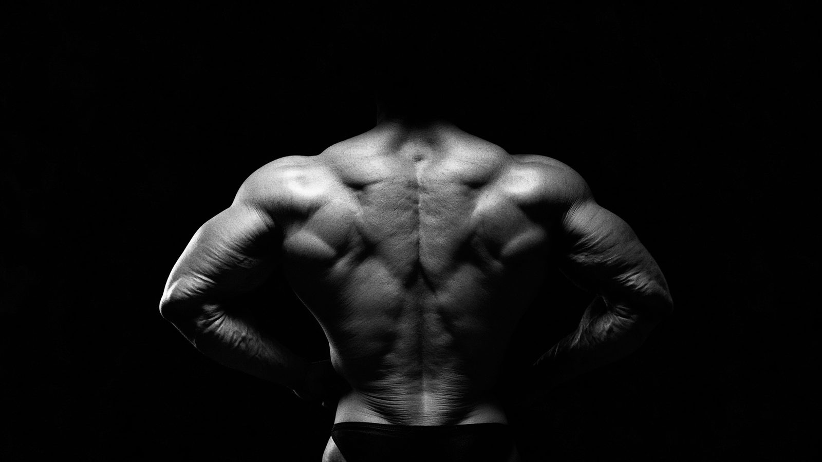 High-contrast black-and-white physique photograph, back and shoulders.